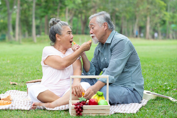 senior couple picnic and eating orange together in the park