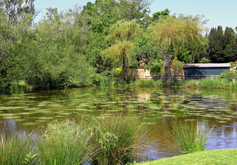 Obraz premium Landscape - Village Pond