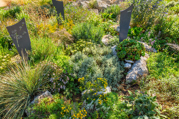 Modern gave cross and tombstone decorated with native plants and succulents
