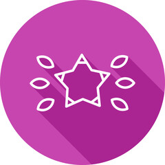 Star Icon
