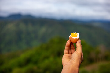 Selective focus boiled chicken eggs. Background, natural mountain view, high angle, green, bright...