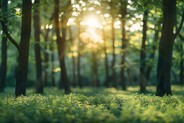 A blurry green forest background photo