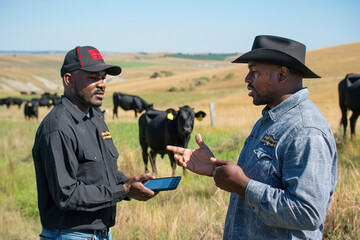 Organic inspector inspecting livestock on farm, adherence to organic farming certification requirements.