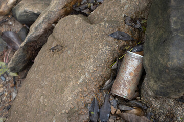 selective rusted steel cans Garbage left in nature There is space for text.
