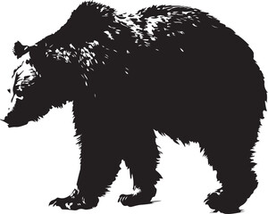 Bear illustration, solid black silhouette transparent background