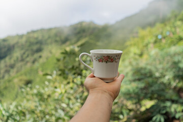 mano de una persona que sostiene una taza de café al aire libre en medio de un cultivo de café en la montaña 