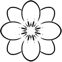 black and white flower