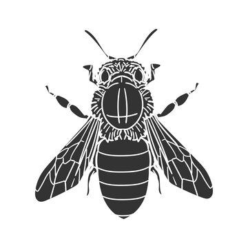 recommend clip art: Honey Bee Icon Silhouette Illustration. Insects Vector Graphic Pictogram Symbol Clip Art. Doodle Sketch Black Sign.