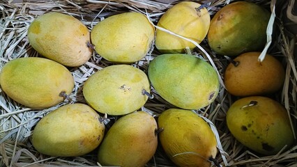 Indian fruit King mango image 