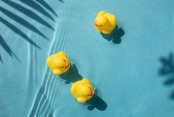 Bright yellow rubber ducks float in blue water pool. Hot summer resort vacation concept
