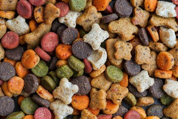 Colorful Assorted Pet Treats Close-up