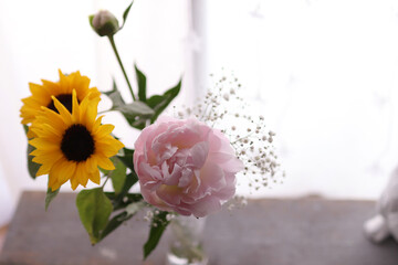 Obraz premium 綺麗な花と白い背景