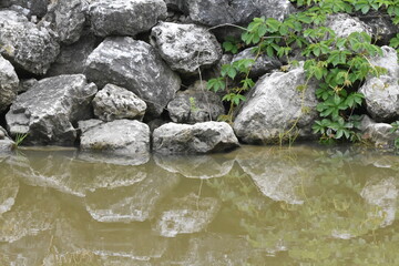 stone reflection in water landscape background