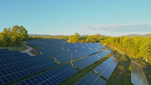 Aerial View of Photovoltaic Solar Panels Field Surrounded by Green Nature on a Sunny Day. Concept of Clean Renewable Sustainable Green Energy, Electric Power, Ecology, Global Warming, Climate Change