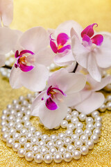 A branch of white orchids on a shiny gold background
