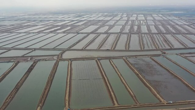Aerial photography of Shandong Dongying Marine Aquaculture Farm
