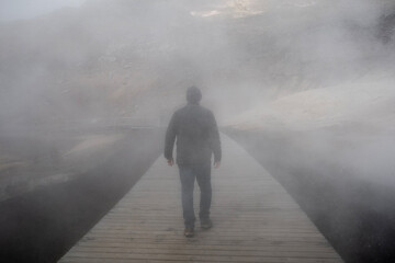 Mist walker