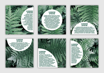set of banners with space for text with eco-friendly natural photo with dark fern leaves