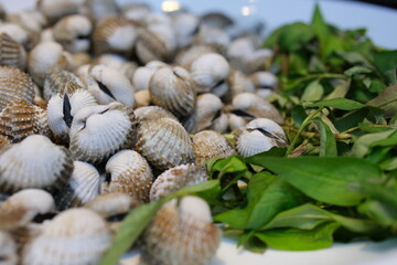 shells food Seashells on a plate as food and eat. Sea shell food. Sea Shells Seashells background. 