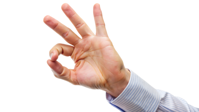 A hand gesture with thumb and index finger forming a circle, signifying approval or okay