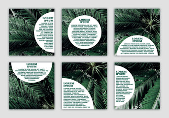 set of banners with space for text with eco-friendly natural photo with dark palm leaves