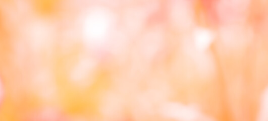 abstract colorful background