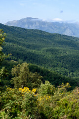 Scenic view from Taza national park in jijel, Algeria