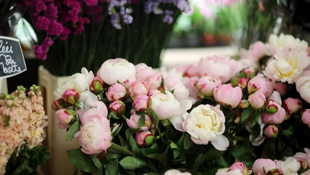 Bunches of fresh peony on flower market in Paris, France.