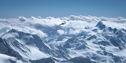Bird Fly Against the Backdrop of the Greater Caucasus Mountains