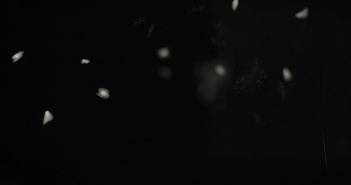 Rice grains falling from below, slowmotion low angle 4K pro res