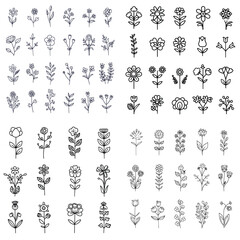 Naklejka premium set of floral design elements