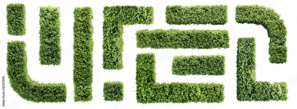 Fototapete set of hedge elements isolated on transparent background. top view. 3d render.