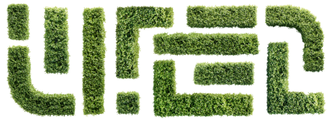 Set of hedge elements isolated on transparent background. Top view.  3D render.