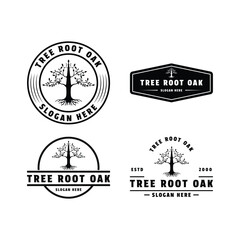 set of collection tree root oak logo design circle emblem badge