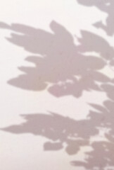 背景イラスト_木漏れ日