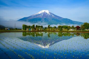 忍野村から富士山と逆さ富士