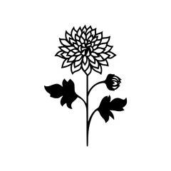 chrysanthemum flower, flat icon