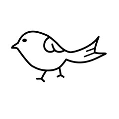 bird line icon