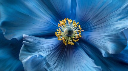 Close up of a vibrant blue flower with large pistils emphasizing eco friendly floral artistry