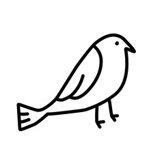 bird line icon