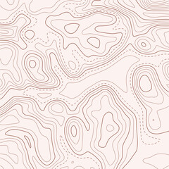Topographic map with lines on a white background. Geographic map concept. Vector illustration