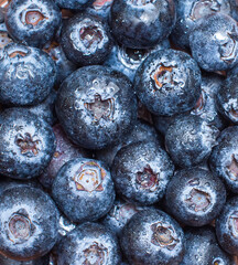 Fresh ripe blueberries background.