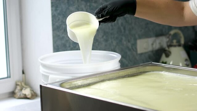 cheese factory preparing yoghurt, pumpkin cheese, Caciocavallo mozzarella and other types of cheeses