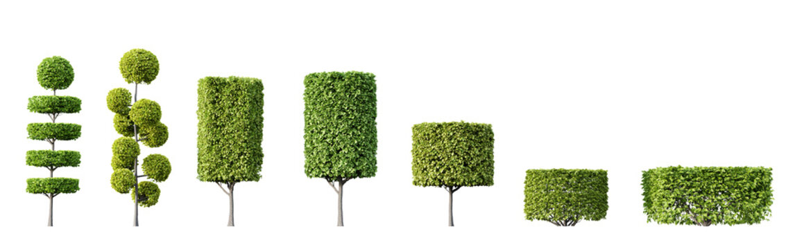 Collection of beautiful trimmed trees isolated on transparent background. 3D render.