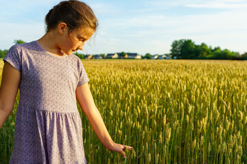 A beautiful little girl in a golden wheat field during a sunset walk.