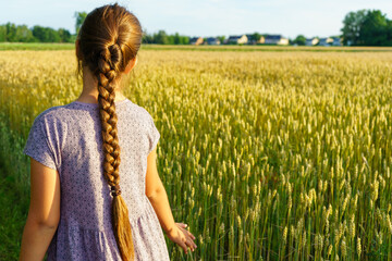 Back view of a beautiful little girl in a yellow wheat field during a sunset walk