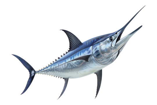 Blue marlin fish isolated on transparent background - Powered by Adobe