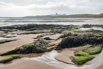 Emleton bay beach with Dunstanburgh castle in the distance