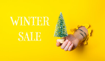 A hand holding a small Christmas tree in front of a yellow background