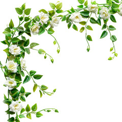 Obraz premium Garland, transparent background, isolated image, generative AI